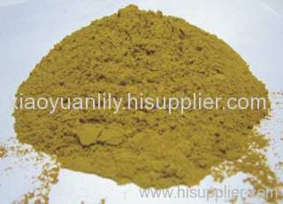 Forsythia extract P.E lily@botanicealextraction