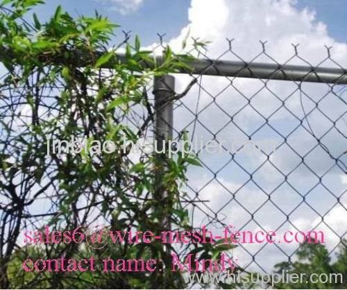 High quality GI chain link fencing