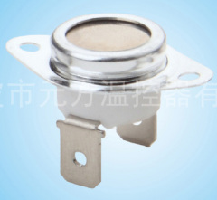 vacuum cleaner thermostat