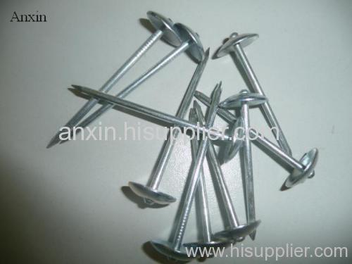 electro galvanized roofing nail