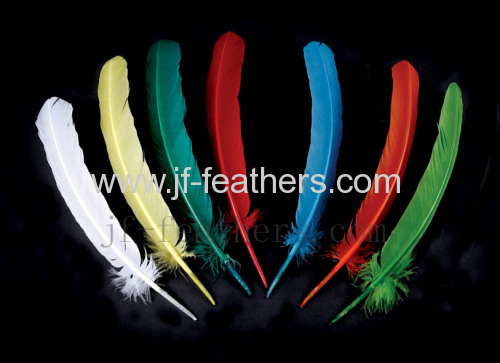 Fancy Feathers