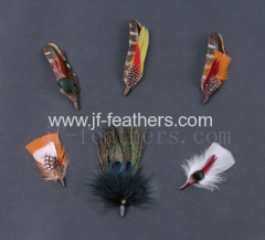 Fancy Feathers