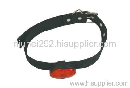 Dog Collar