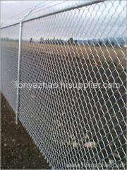 Galvanzied Chain Link Fence