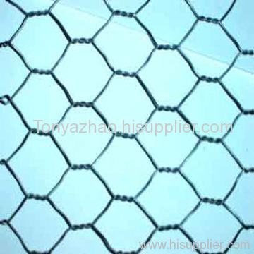 Hexagonal Wire Mesh