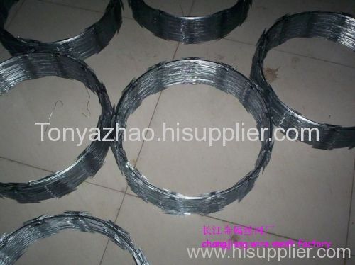 Galvanized Welded Wire Mesh Rolls (WWM002)