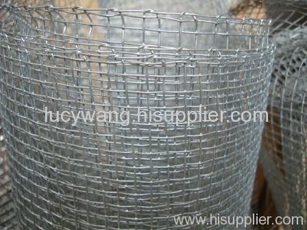 Galvanized square wire mesh