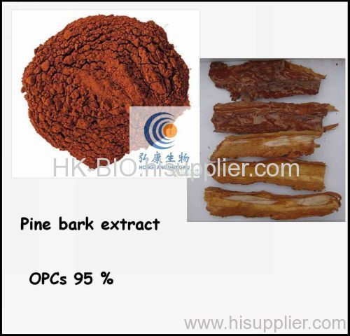 95%Procyanidins Pine Bark