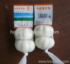 Supply China Garlic Pure White Garlic Normal White Garlic