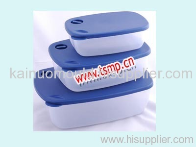 PP container mould