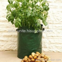potato planter