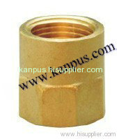 Brass Female Connector (brass fitting)