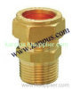 Brass Male & Coupling Unit (brass fitting)