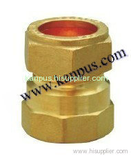 Brass Female & Coupling unit ( brass fitting )