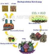 Biodegradation Sketch map