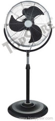 Luxurious Fan