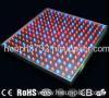 LED grow light