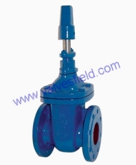 BS5163 GATE VALVE METAL SEATED