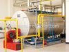 Horizontal Fuel and Gas Boiler