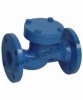 Cast Iron Lift Check Valve