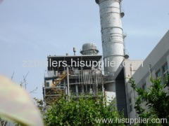 power station Fuel and Gas Boiler