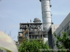 vertical power station Fuel and Gas Boiler