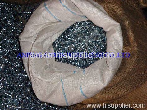 Umbrella head roofing nail