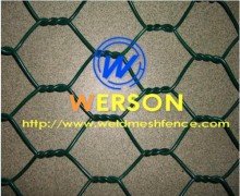 Hengshui Werson Wire Mesh Fence Co.,Ltd