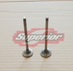 Chevrolet Aveo intake valve and exhaust valve 96376881 96376880