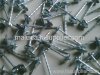 Galvanized Umbrella Roofing Nail