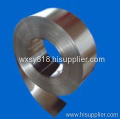 Precision Cold Rolled Stainless Steel Strip