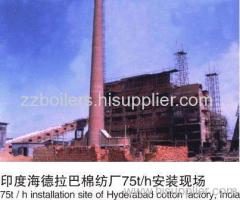 ZG series Biomass Power Station Boiler