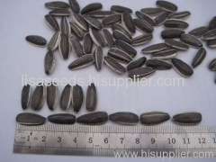 Black Sunflower Seeds