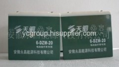 Electric Bike Battery