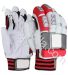 Cricket Batting Gloves