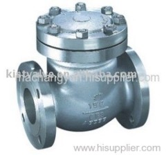 stainless steel check valve