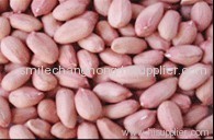 Shandong peanut