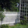 Vinyl Picket Fence