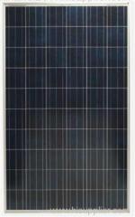 XTL Polycrystalline Series 80W Solar Panel