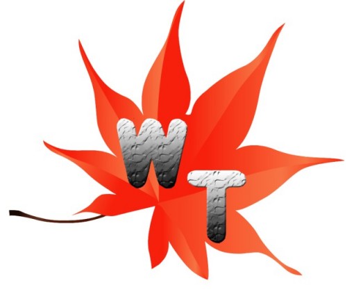 WUHAN FENGWANTING TRADING CO., LTD.