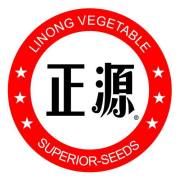 shantou linong vegetable superior-seeds institute