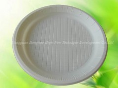 disposable tableware