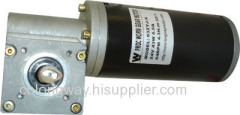 24 PMDC GEAR WORM MOTOR