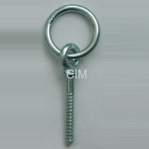 Eye Bolt w/woodscrew HDG