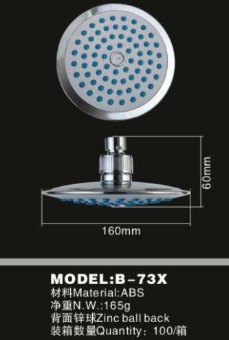 Overhead Shower