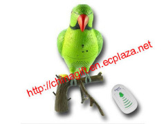 Recordable Parrot Wireless Doorbell