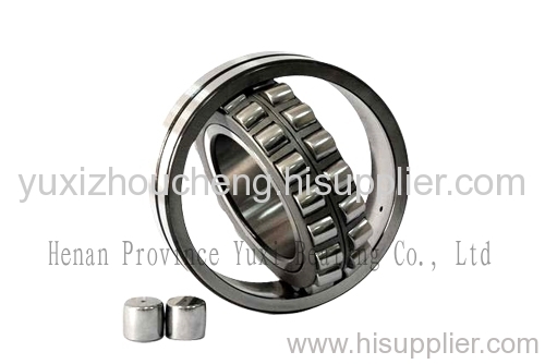 Special Bearing for Shaker