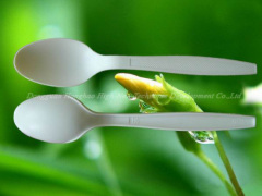 disposable spoon