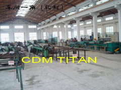 Shanghai CDM Industry Co., Ltd.