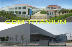 Shanghai CDM Industry Co., Ltd.